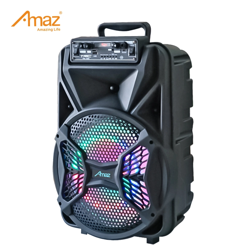 Bluetooth PA Speaker System with Wireless Microphone12 Inch Highet Portable Outdoor Karaoke Speaker